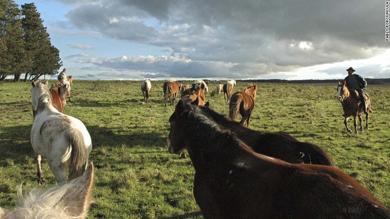 Ride with Uruguay's gauchos.